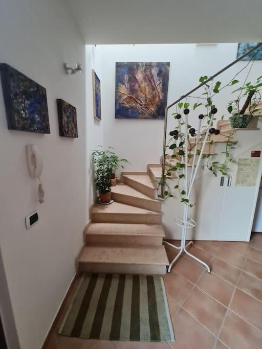 Scrigno Del Borgo-Intero Alloggio Montelupone エクステリア 写真